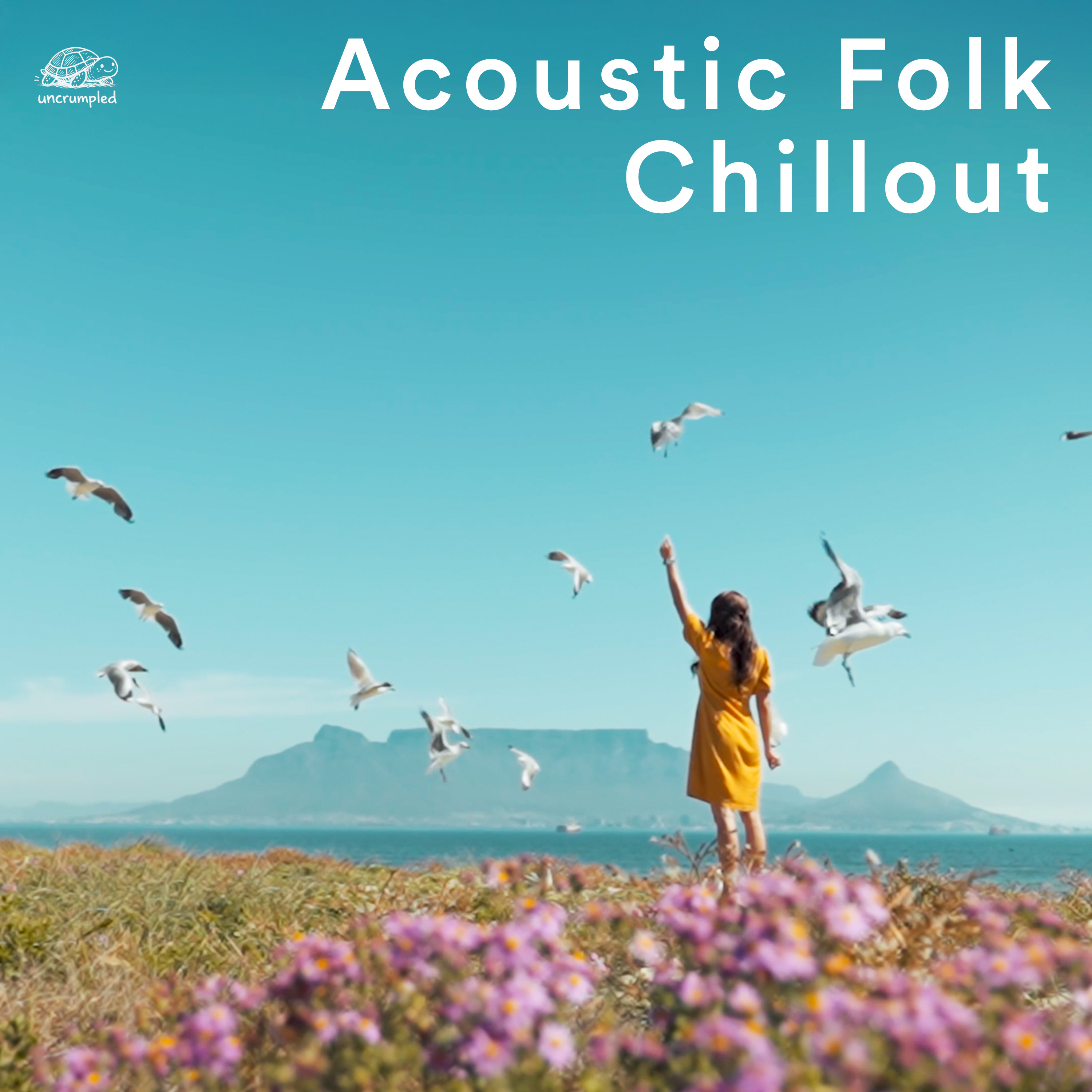 Acoustic Folk Chillout